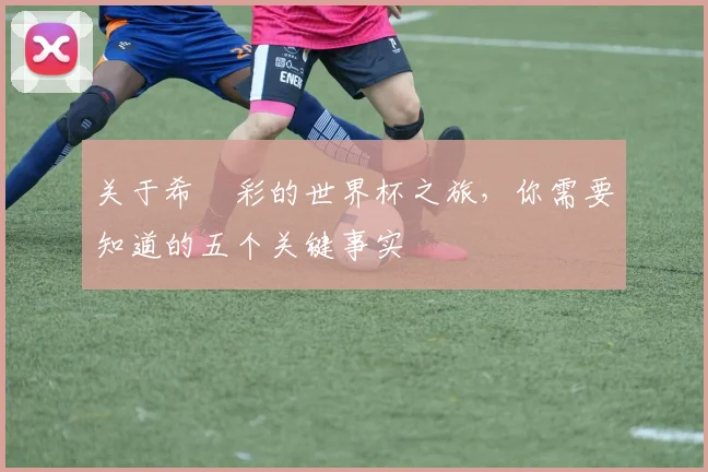 关于希咲彩的世界杯之旅，你需要知道的五个关键事实