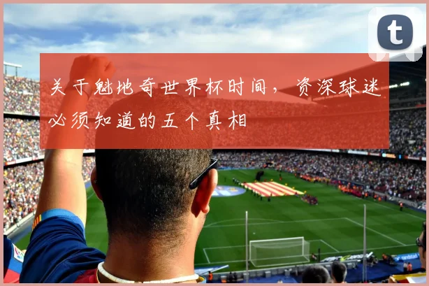 关于魁地奇世界杯时间，资深球迷必须知道的五个真相