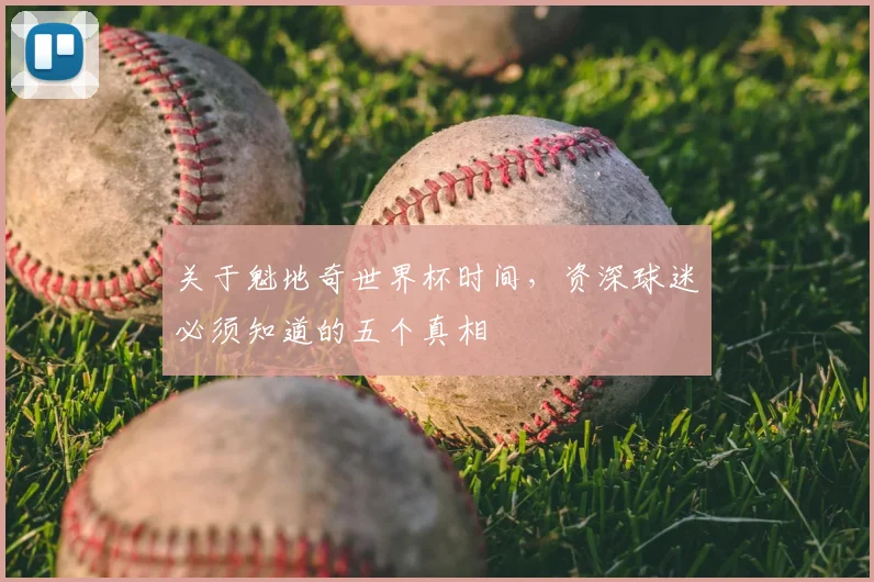 关于魁地奇世界杯时间，资深球迷必须知道的五个真相