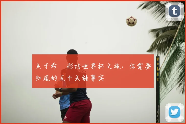 关于希咲彩的世界杯之旅，你需要知道的五个关键事实