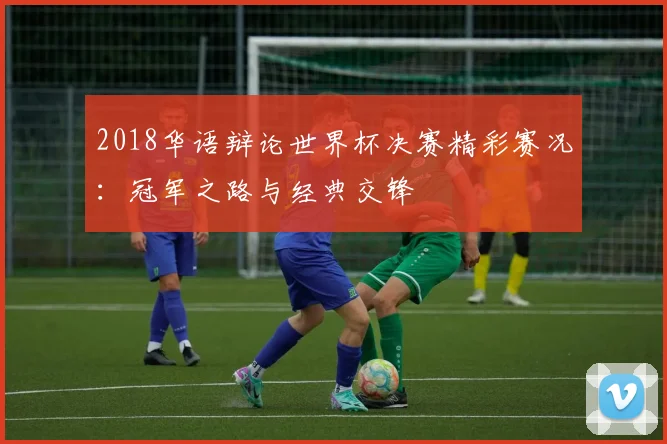 2018华语辩论世界杯决赛精彩赛况：冠军之路与经典交锋