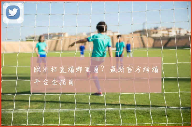 欧洲杯直播哪里看？最新官方转播平台全指南
