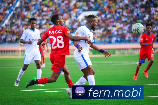 开云官方体育app官网平台生态图