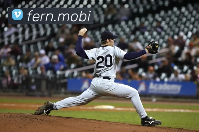 开云官方体育app官网APP 封面图